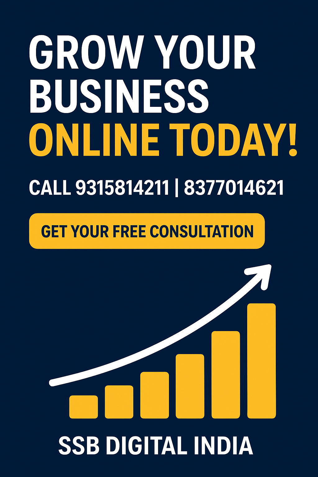 Best Digital Marketing Agency in Ghaziabad | SSB Digital India